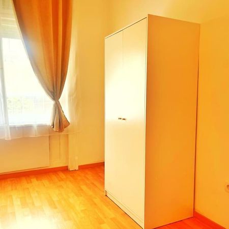 Central Spacious Flat 布达佩斯 外观 照片