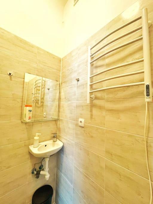 Central Spacious Flat 布达佩斯 外观 照片