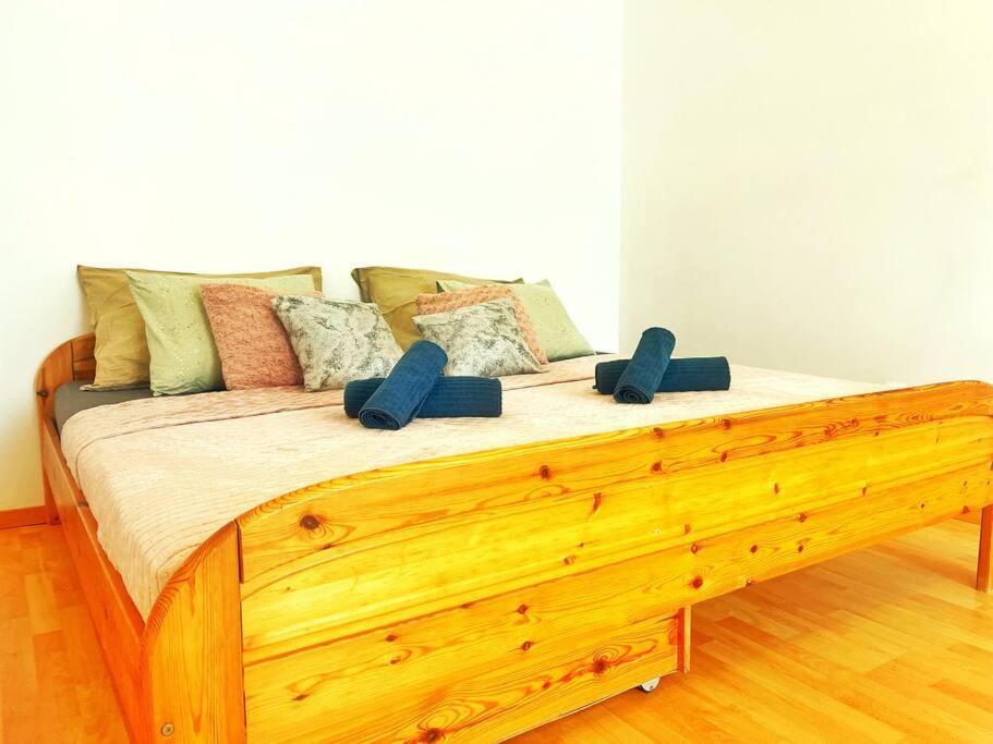 Central Spacious Flat 布达佩斯 外观 照片